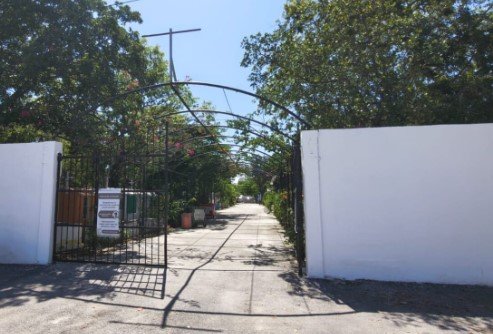 fallece adulto mayor