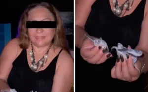 manipula crias de tortuga sin permisos
