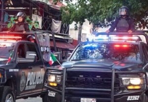 seguridad publica