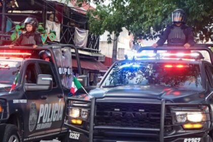 seguridad publica