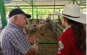 PRODUCTORES
