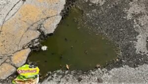 aguas negras