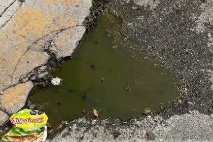 aguas negras