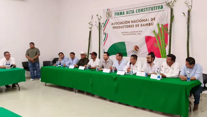 chetumal bambu