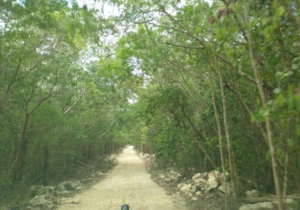 puerto aventuras