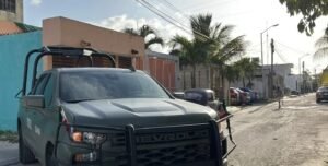 cateo