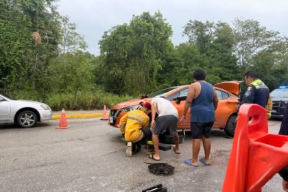 Rescatan perrito atrapado en vehículo en Playa del Carmen