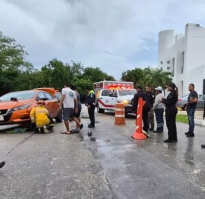 Los cuerpos de emergencia desmontaron una de las llantas del vehículo para realizar las maniobras necesarias y poner al animal a salvo.