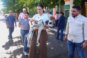 Estefanía Mercado encabeza rescate de ocho caninos en Playa del Carmen |