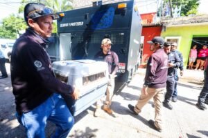 Estefanía Mercado encabeza rescate de ocho caninos en Playa del Carmen